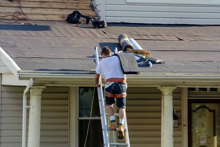 A person using a soft brush to clean green moss from asphalt roof shingles on a residential home.